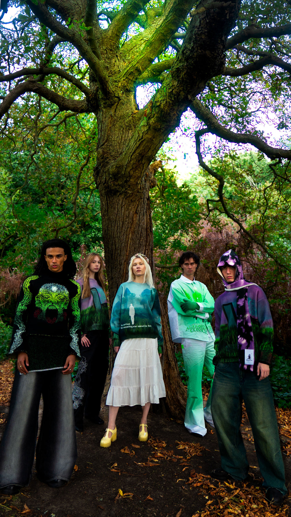 "Entities" Collection