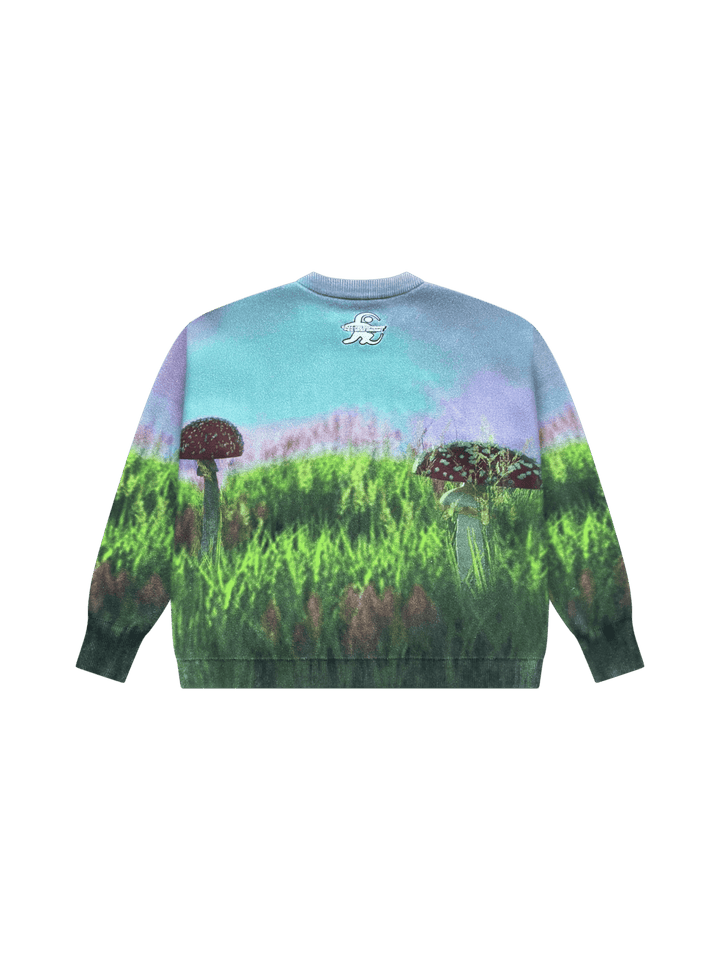 The Dreamfield Sweater | Maison Bon Voyage